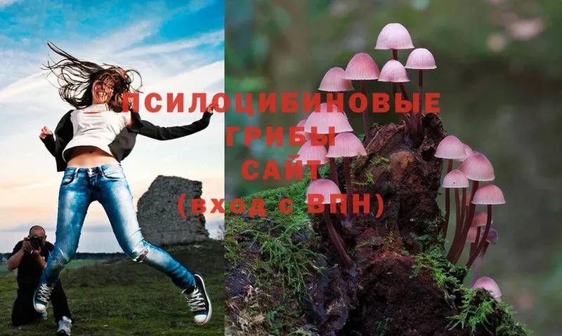 Псилоцибиновые грибы Psilocybe  Бугуруслан 